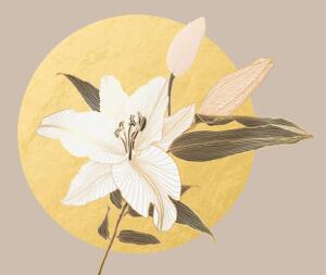 Illusztráció Lily flower pattern with golden metallic, Svetlana Moskaleva, (40 x 24.6 cm)
