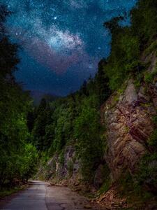 Fotográfia Trees by road against sky at night,Romania, Daniel Ion / 500px, (30 x 40 cm)
