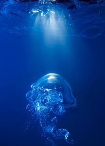 Fotográfia Bubble on spot light in blue water, Biwa Studio