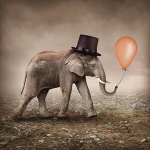 Illusztráció Elephant with a balloon, egal