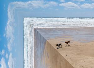 Illusztráció Perspective bending image of two dogs on a beach, ImagePatch, (40 x 30 cm)