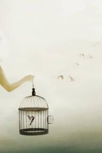 Illusztráció hand holding an open cage with birds escaping out, fcscafeine, (26.7 x 40 cm)
