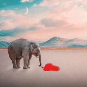 Illusztráció Abstract concept,Side view of elephant standing, Kelsey Segatto / 500px, (40 x 40 cm)