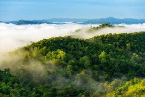 Fotográfia Beautiful mist over green forest on mountain., NirutiStock