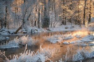 Fotográfia Morning by a frozen river in winter, Schon
