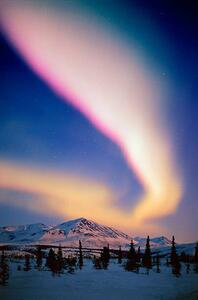 Fotográfia USA, Alaska, Alaskan Range, Aurora Borealis, Johnny Johnson, (26.7 x 40 cm)