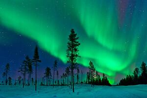 Fotográfia Aurora Borealis Northern Lights Sweden, Dave Moorhouse, (40 x 26.7 cm)