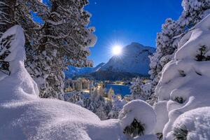 Fotográfia Snowy forest lit by moon in winter, Switzerland, Roberto Moiola / Sysaworld, (40 x 26.7 cm)
