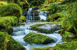 Fotográfia Scenic view of waterfall in forest,Newton, Ian Douglas / 500px, (40 x 26.7 cm)