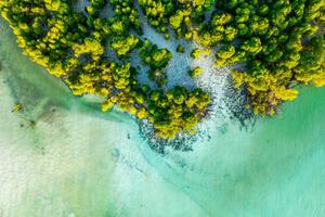 Fotográfia Overhead view of a tropical mangrove lagoon, Roberto Moiola / Sysaworld, (40 x 26.7 cm)