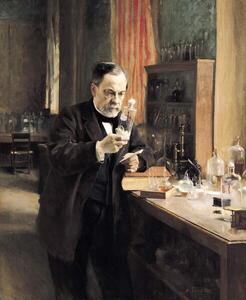 Fotográfia Louis Pasteur in his Laboratory, 1885, Edelfelt, Albert Gustaf Aristides