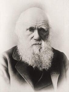 Művészeti fotózás Charles Darwin, English School,, (30 x 40 cm)