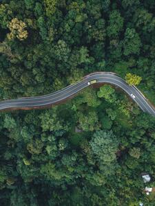 Fotográfia Green road up the mountain in the rainy season, ArtRachen01, (30 x 40 cm)