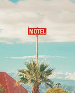 Művészeti fotózás This Motel is for the Birds, Tom Windeknecht, (30 x 40 cm)