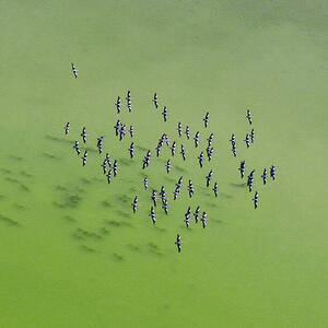 Fotográfia Lake Eyre Aerial Image, Ignacio Palacios