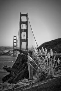 Művészeti fotózás San Francisco Golden Gate Bridge, Melanie Viola, (26.7 x 40 cm)