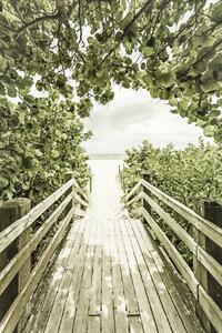 Művészeti fotózás Bridge to the beach with mangroves | Vintage, Melanie Viola, (26.7 x 40 cm)