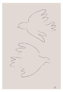 Illusztráció Two Doves, Studio Collection, (26.7 x 40 cm)