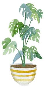 Illusztráció Watercolor green floral house plants illustration.Hand, Anna Tkachenko