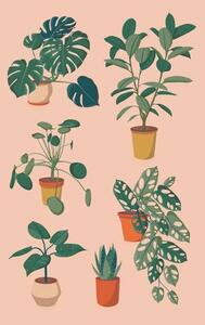 Illusztráció houseplants set, Alina Beketova