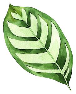 Illusztráció Watercolor hand painted green tropical leaves,, DZHAMILIA ABDULAEVA, (40 x 40 cm)