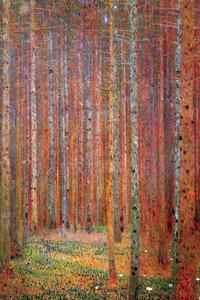 Plakát Fenyőerdő, (61 x 91.5 cm)