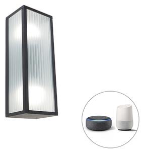 Intelligens kültéri fali lámpa fekete bordás üveggel, 2 WiFi A60 - Charlois