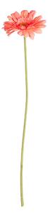 FLORISTA gerbera 62 cm, barackszín