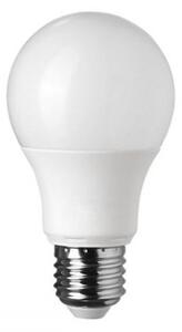 LED lámpa , égő , körte , E27 foglalat , 10 Watt , hideg fehér , 5 év garancia , Optonica