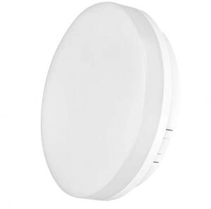 LED panel , 15W , falon kívüli , kerek , természetes fehér , IP54 , TORI
