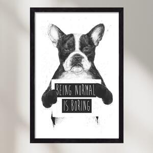 Being normal is boring - falikép keretben | artbridge