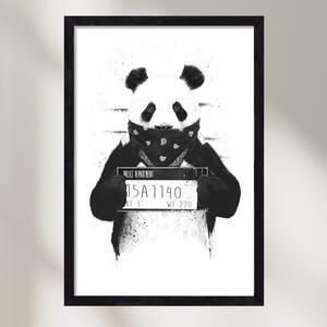 Bad panda - falikép keretben | artbridge