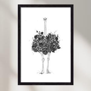 Floral ostrich - poszter keretben | artbridge