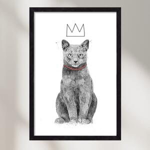 King Of Everything - falikép keretben | artbridge