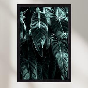 Jungle - falikép keretben | artbridge