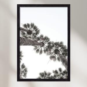 Bodrum Plams - falikép keretben | artbridge