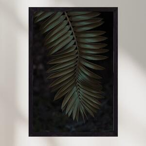 Cycad - falikép keretben | artbridge