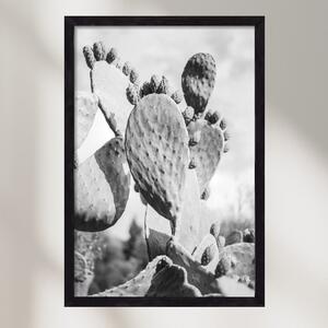 Cacti Cowboy - falikép keretben | artbridge