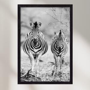 Striped horse - falikép keretben | artbridge