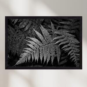 Bracken joy - falikép keretben | artbridge