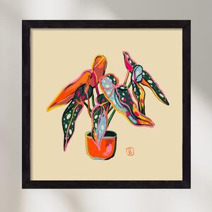 COLOURFUL BEGONIA PLANT - falikép keretben | artbridge