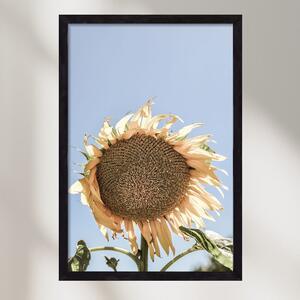 Sunny bloom - falikép keretben | artbridge