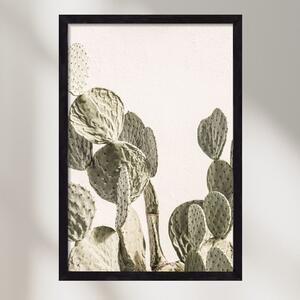 Mexi cactus - falikép keretben | artbridge