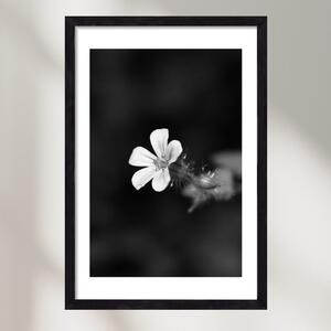 Geranium - falikép keretben | artbridge