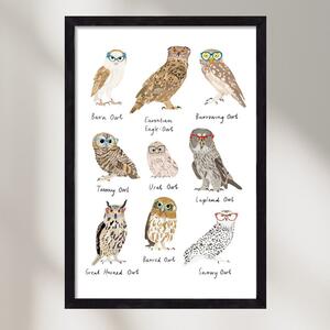 Owls in Glasses - falikép keretben | artbridge
