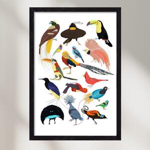 Birds of Prey - falikép keretben | artbridge