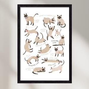 Siamese Cats - falikép keretben | artbridge