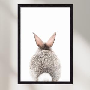 Bunny Tail - falikép keretben | artbridge