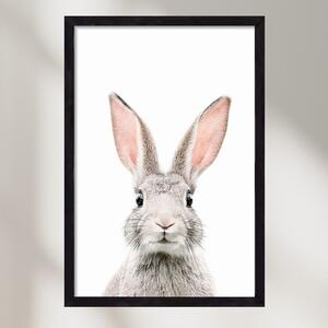 Bunny Face - falikép keretben | artbridge