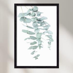 Eucalyptus 1 - falikép keretben | artbridge